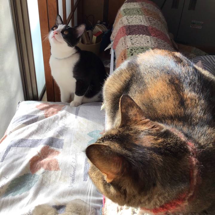 81b6ed28 2a0f 4bd2 81fb 8b227081741b 1632817747532