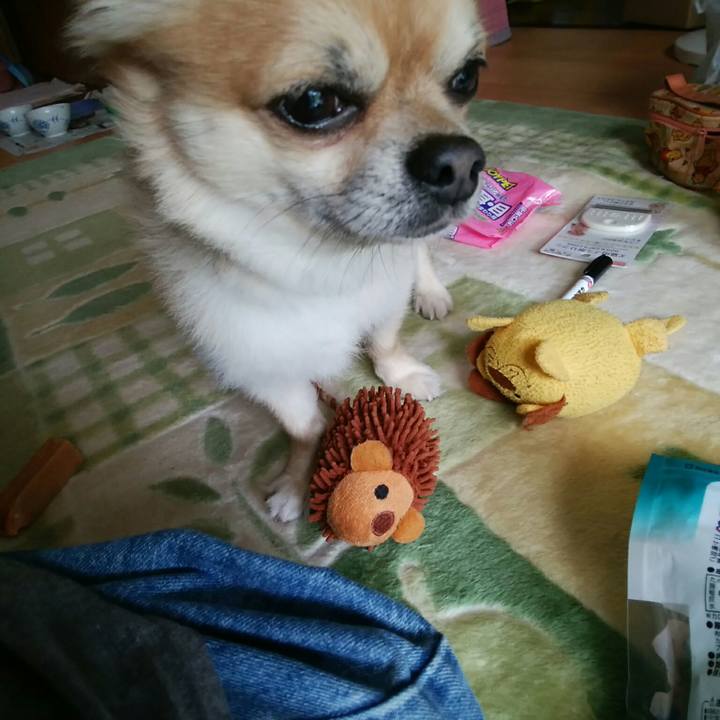 81b6f8f6 b4a0 4711 86e4 2d727e8f7a14 1529826299882