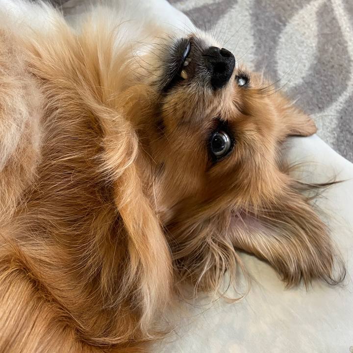 81b6fe76 7cdd 4dc5 ba47 72c6e4742023 1621721763441