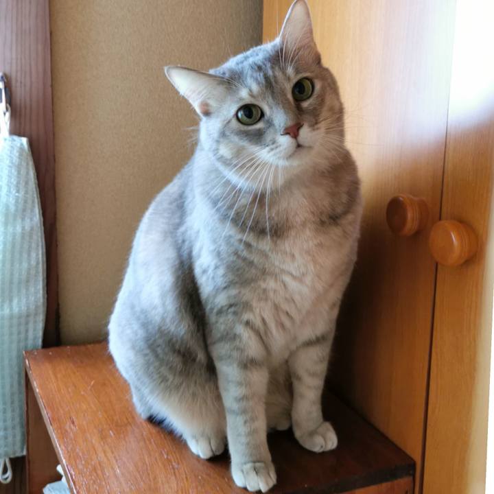 81b704c9 1eb8 439b bac8 ed952bf2fb05 1638057504232