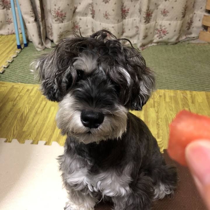 81b7331e b4dd 4150 b6a1 35e0ec992ba3 1536060018160