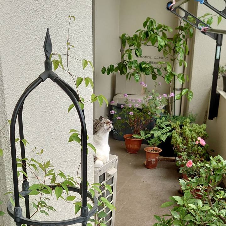 81b75b7e 6066 44f2 aa8a 2f20cec70933 1684398159184