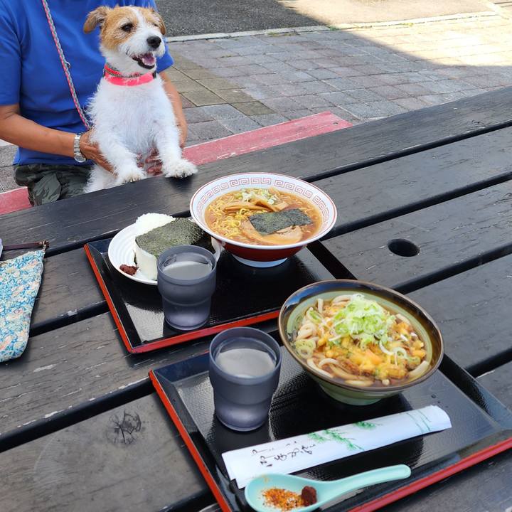 81b76376 bd8f 4675 98fb ccf51cdf282d 1691797035613