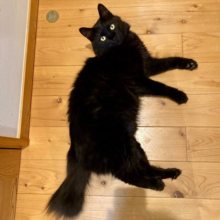 81b77771 6df2 41c3 a95b e94933331025 1755692674536