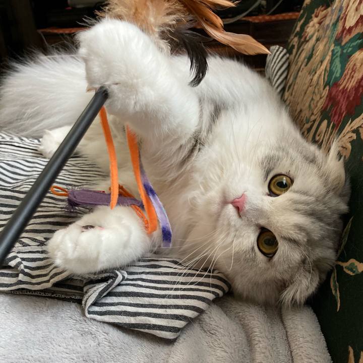 81b7b0fc 522c 4789 ba7b 46cf8706aee4 1613485220678