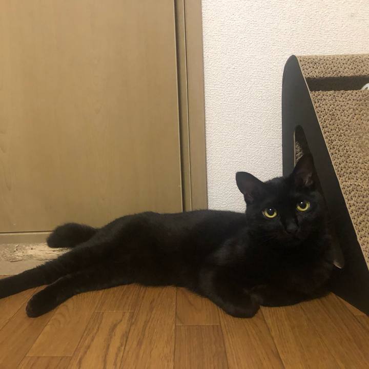 81b7c038 437c 4693 b6b3 955aa56c9304 1624496679747