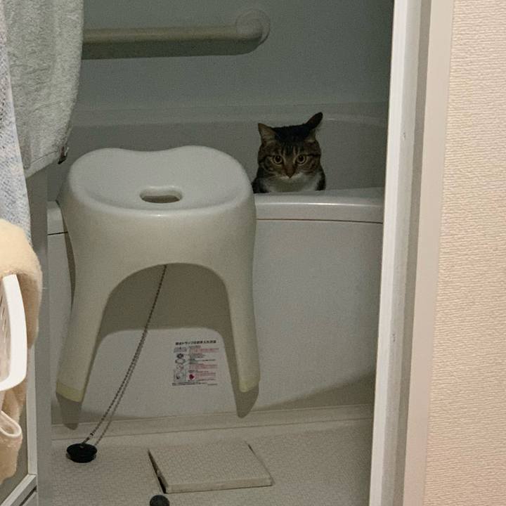 81b7f2e4 006a 471f be8d 68cf8dd48cd3 1638188220365