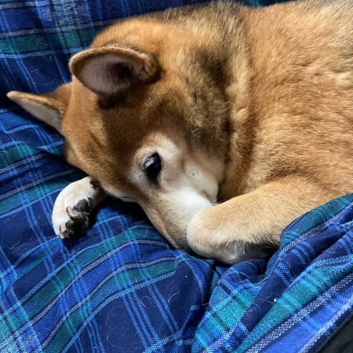 81b7fab8 928f 4749 9e0a 58a25405b3f2 1635117751666