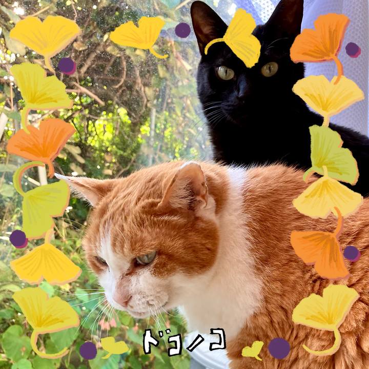 81b801fe f10e 40cc 9135 b599928b557d 1729404447835