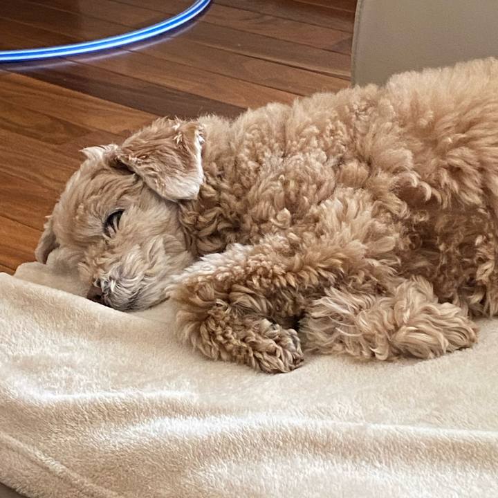 81b891f8 5c39 4afa a14a 95eab8b49f66 1646622800713