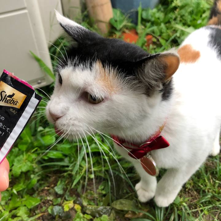 81b8e1fb 286e 4e68 aa34 664b20e62af1 1631656872189