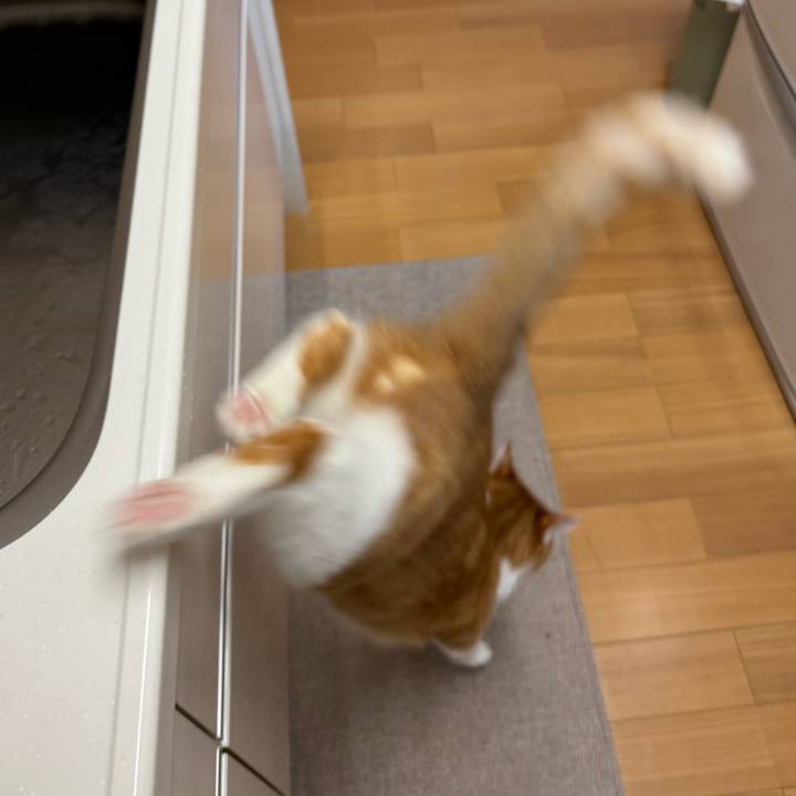 81b8e516 4606 4e19 b181 886f2a3f1b93 1769230293427