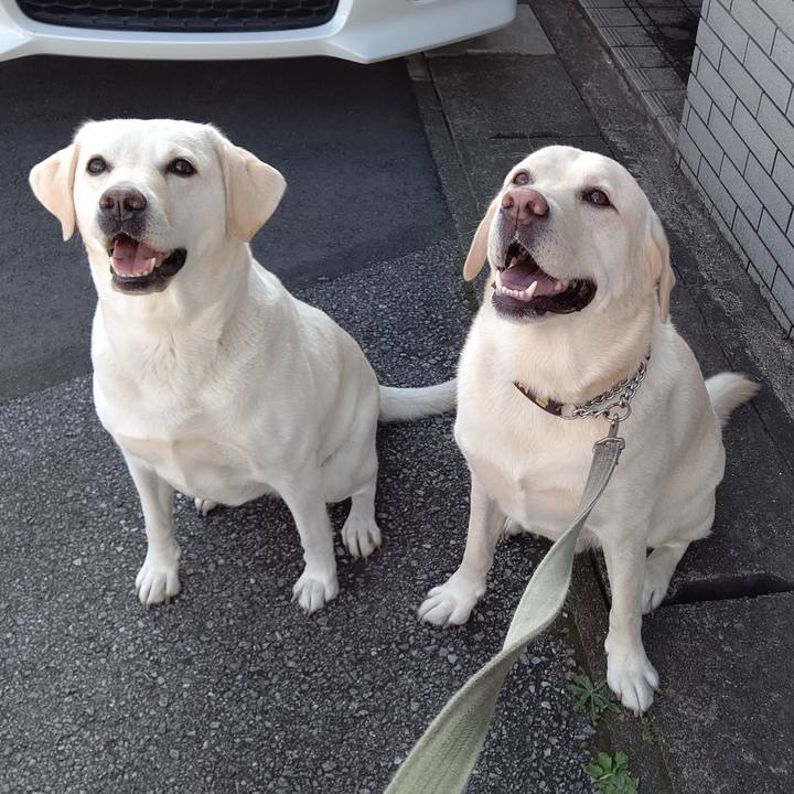 81b8ed8a ec61 4f25 acde 44f52e7cad83 1602049286812