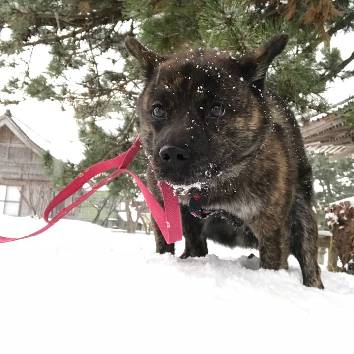 81b90537 4b88 4d61 b2a9 9c074a8d0607 1517094622713