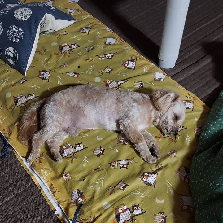 81b92df4 2ccb 419b 8466 472cde1d7be9 1627451539880