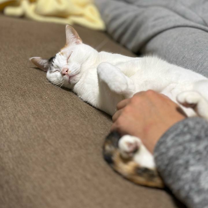 81b92f3a 6944 4aa4 b083 360a17ba194b 1773382831310