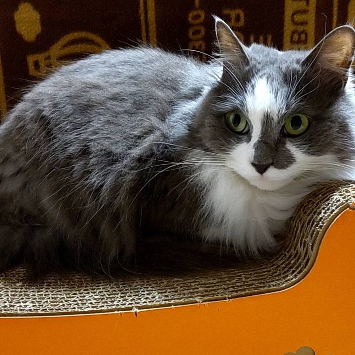 81b96069 fdc4 434c b671 dfe52d745032 1708682292655