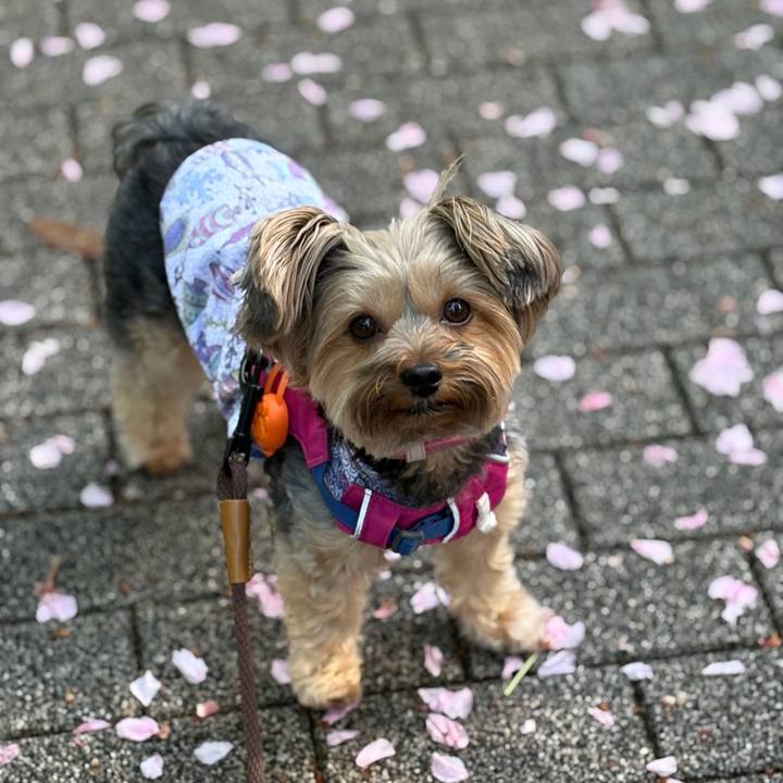 81b97fb2 d251 4d38 b6e0 bf9eaae056ab 1776298379887