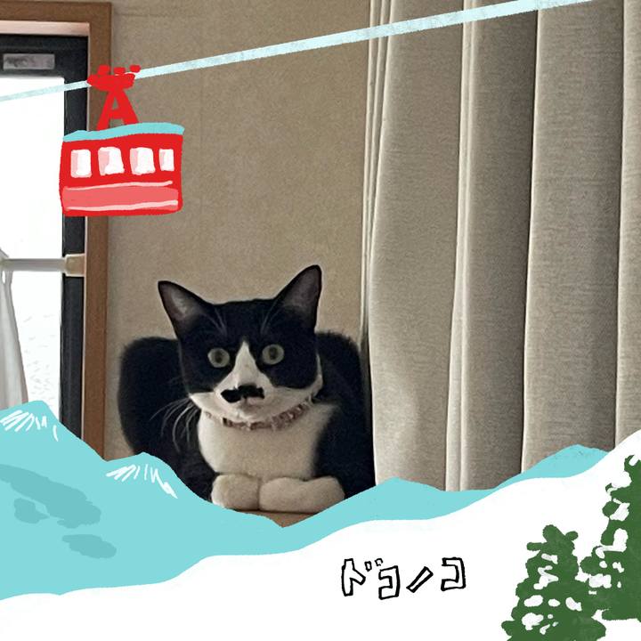 81b9ad57 0899 4871 b773 fb24a91a4ea8 1706880047726