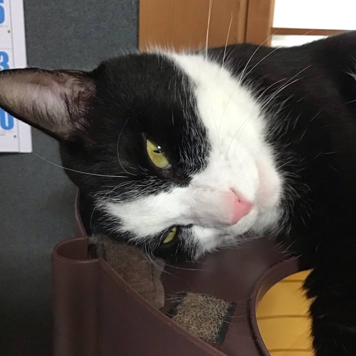 81b9b1fc 2405 4116 9985 b6ce9c39d793 1756456289191