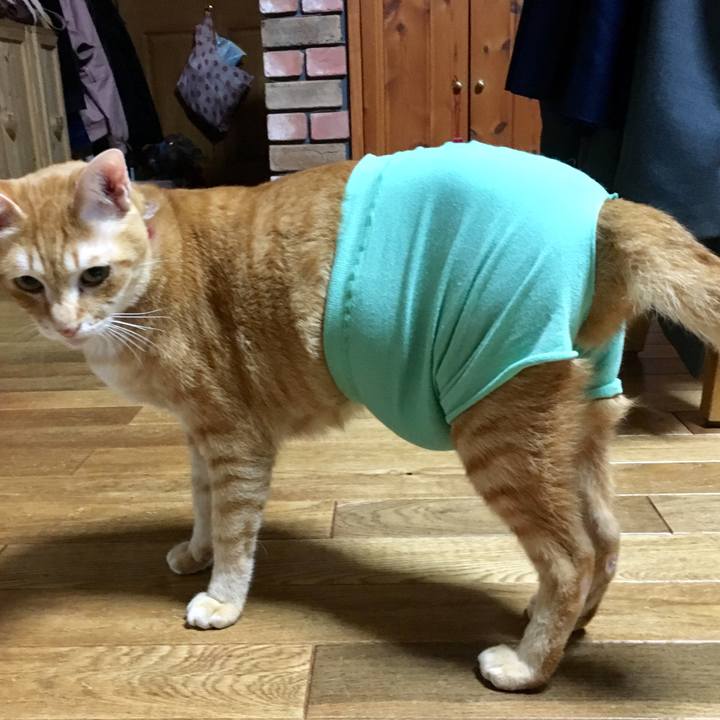 81b9cb09 1b70 40d0 9e2c ed99509f683a 1520951237199