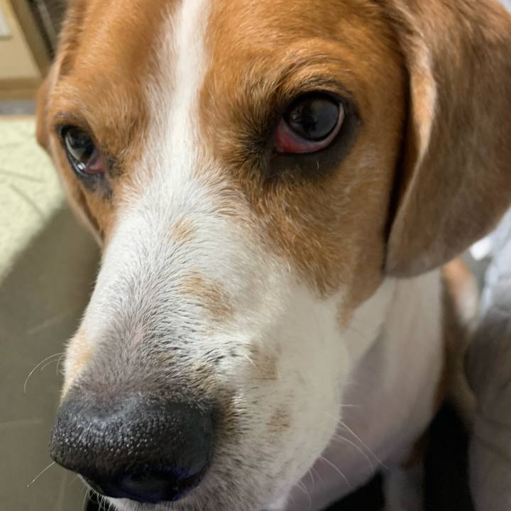 81b9d255 0df1 4509 bd2c 5c59794b828e 1675950159159