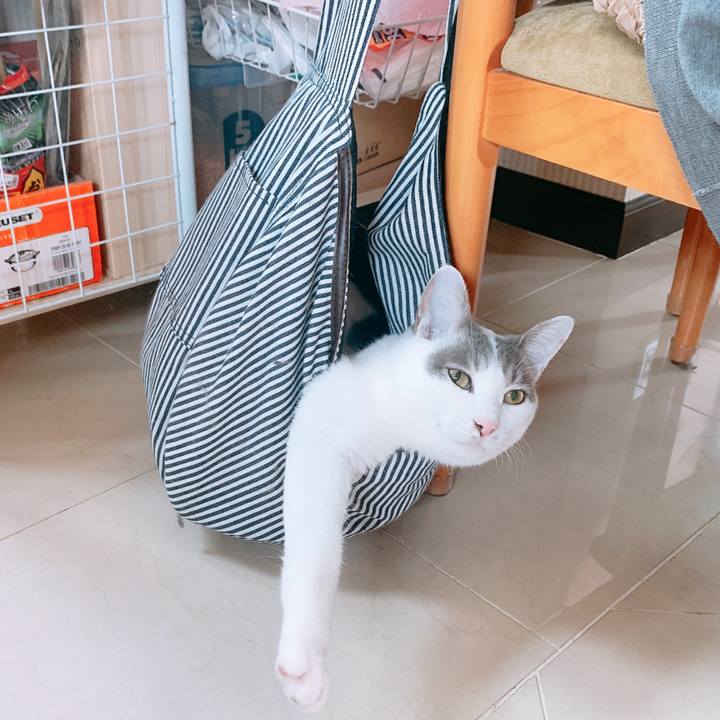 81b9dc01 eeca 4597 939e 1a344b210d27 1600908511396