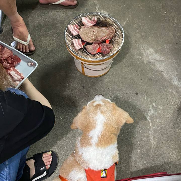 81b9feb2 7ee2 4d6c 9131 f406562c5cb8 1629691475982