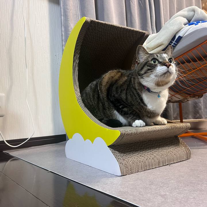 81ba02a2 54ab 4c90 8814 956df96fb0d7 1768299913106