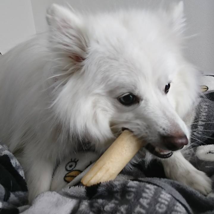 81ba3153 5237 4e46 a98f 7886254633d4 1608607426146