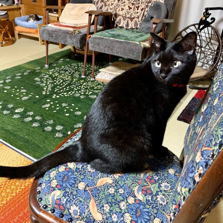 81ba3ba0 ba1a 474d 8c09 8550ccbe8e82 1599912457252