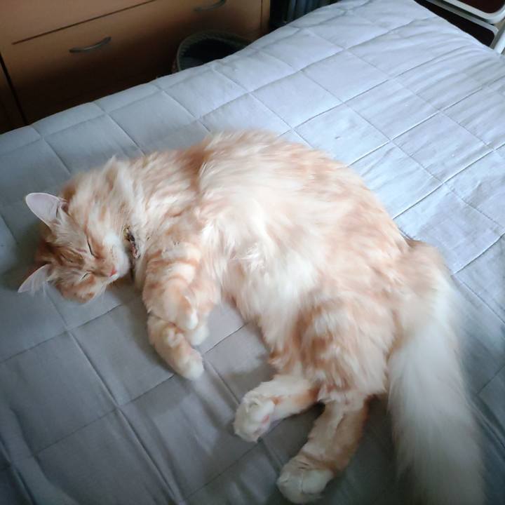 81ba7799 c799 4563 8f45 501d3a4bdec4 1661644377212