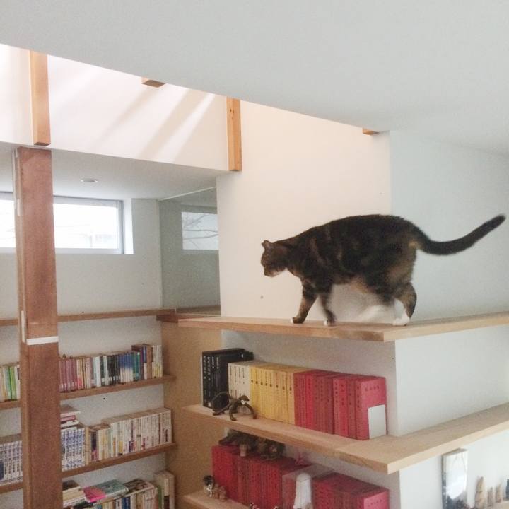 81ba8865 3ebd 49b4 b921 b6078c211d98 1586565407885