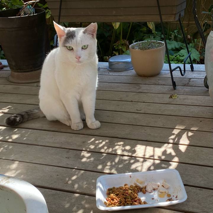 81bac7ec 22e8 40c5 8e87 2f8425b8a642 1667185315018