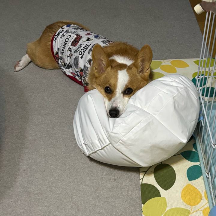 81bae1c7 8494 48c8 b35e 91654238540d 1761409362771