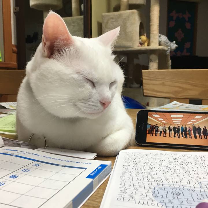 81baf9c1 8311 4de9 9172 824db4a7185c 1539089932244