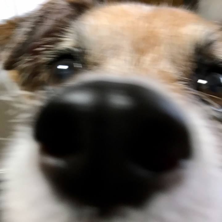 81bb7a6a 99bc 4299 9700 35a3b4ba4e9d 1596006659687