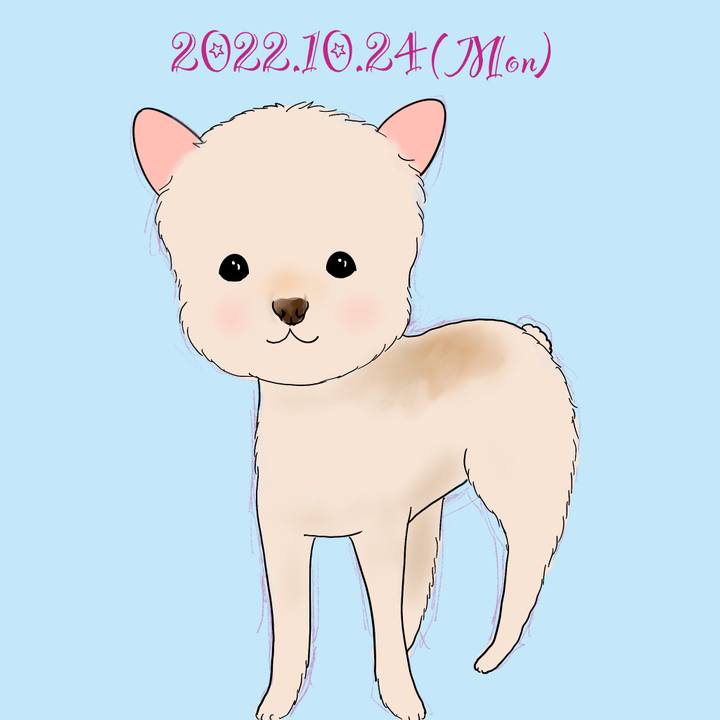 81bba7dd 1bf3 4fa0 88e5 a5b1966aa634 1666612931512