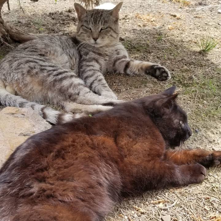 81bbcb65 76bc 41f6 920e 2a4f3e1099b7 1687185427335