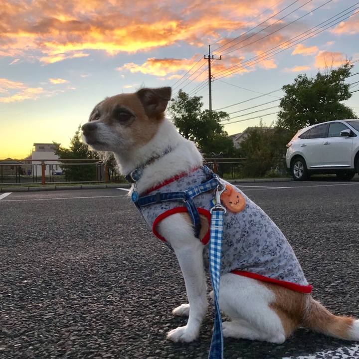 81bbced7 74fd 4591 8dbe 68fffcb302bc 1568625310614