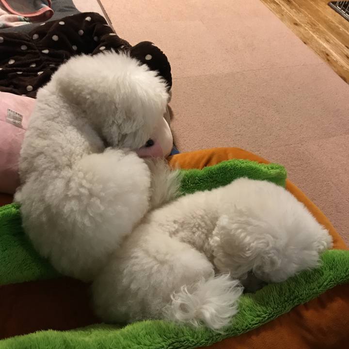 81bbd69c 59f1 48d2 94ca 0e2ef9bbe25b 1554282893358