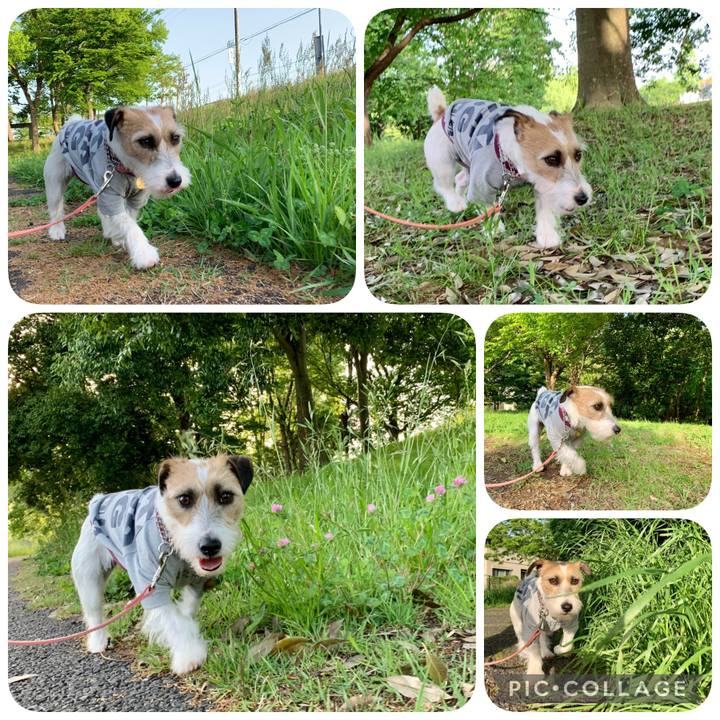 81bbe62b a190 4ef1 b323 4e750c1d8c4f 1619786323591