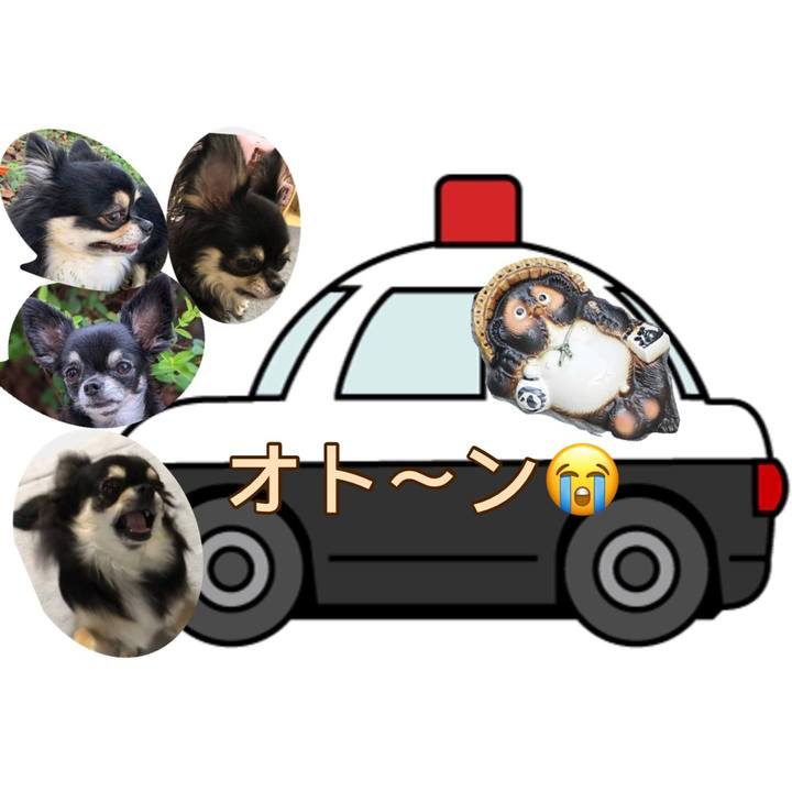 81bbec74 1491 4a1d bd33 af75d5e395f7 1610175002886