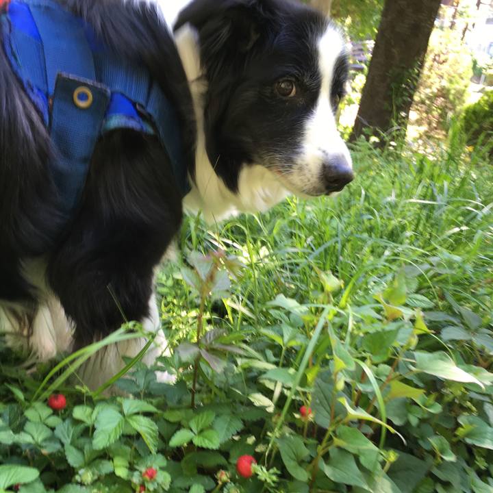 81bbfdc4 e707 4a5e 898f b74a04ffd28e 1557304672960