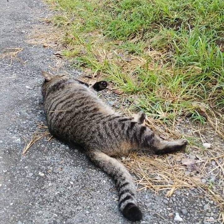 81bc20a0 1000 4b89 8228 ca9ae4b5c5ce 1634255456970