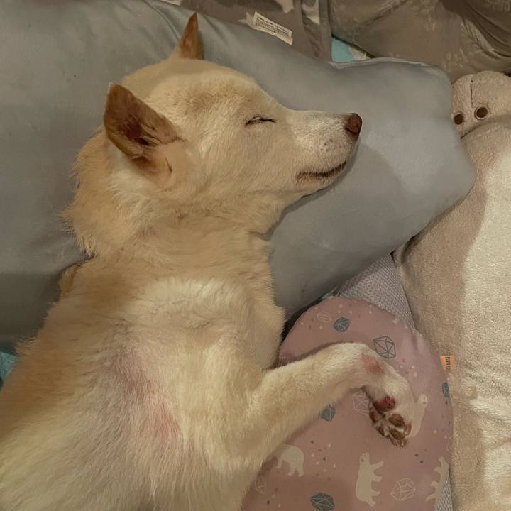 81bc2fd7 fd93 4ffd 8c59 ca7fb8fada1f 1680966134728