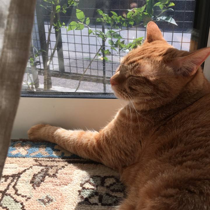 81bc31b8 71fd 4b2b 8a1b 27cbc6303c63 1584483336013