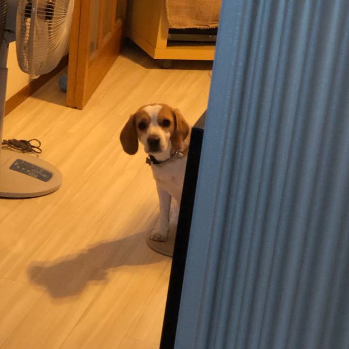 81bc4cee 167e 40a2 be09 d2d6abc200a0 1580268198037