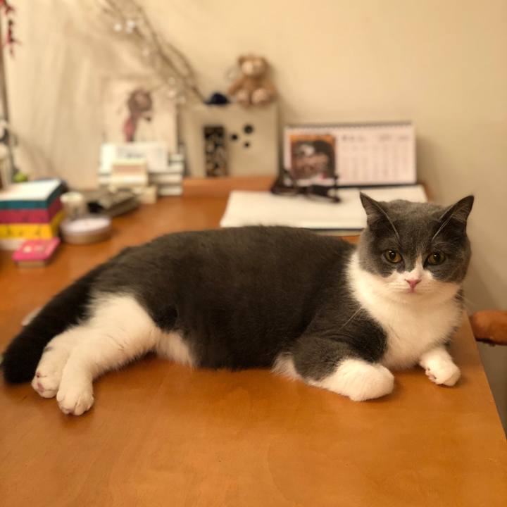 81bc6948 c2c3 4e4b 9ea1 e5e3d8b70081 1534597252487