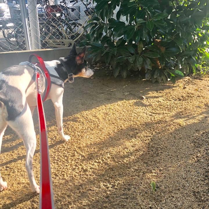 81bc7629 838b 4c9d 9ab5 a616935282f1 1559168409708